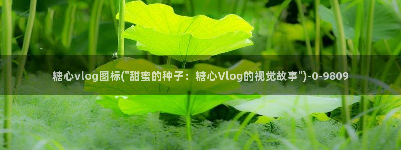 糖心vlog线路检测中:糖心vlog图标