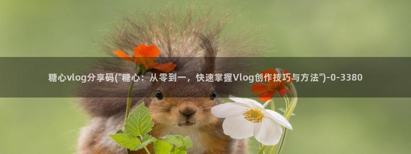 糖心vlog商店版:糖心vlog分享码(